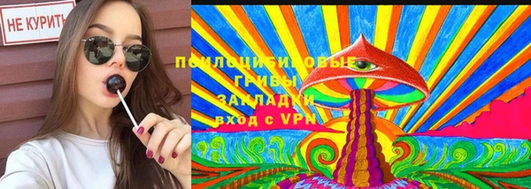 бошки Арсеньев