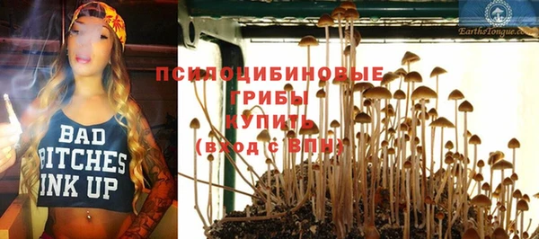 гидропоника Аркадак