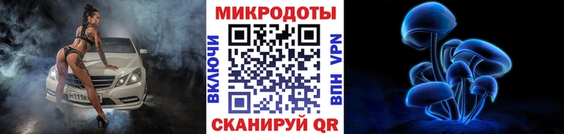 Галлюциногенные грибы Psilocybine cubensis  Судогда 