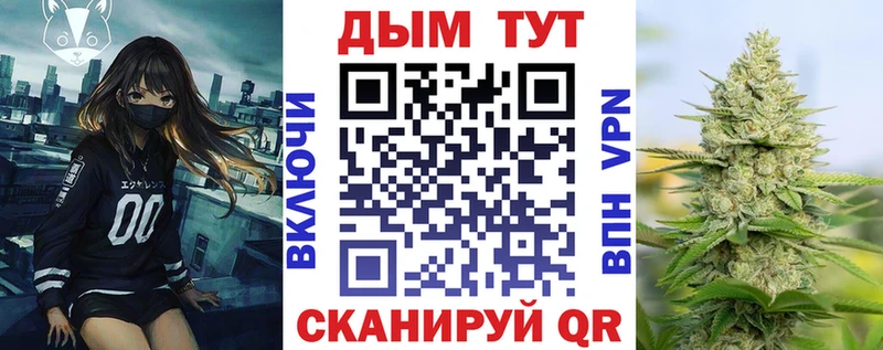 где купить наркотик  kraken зеркало  Каннабис Amnesia  Судогда 